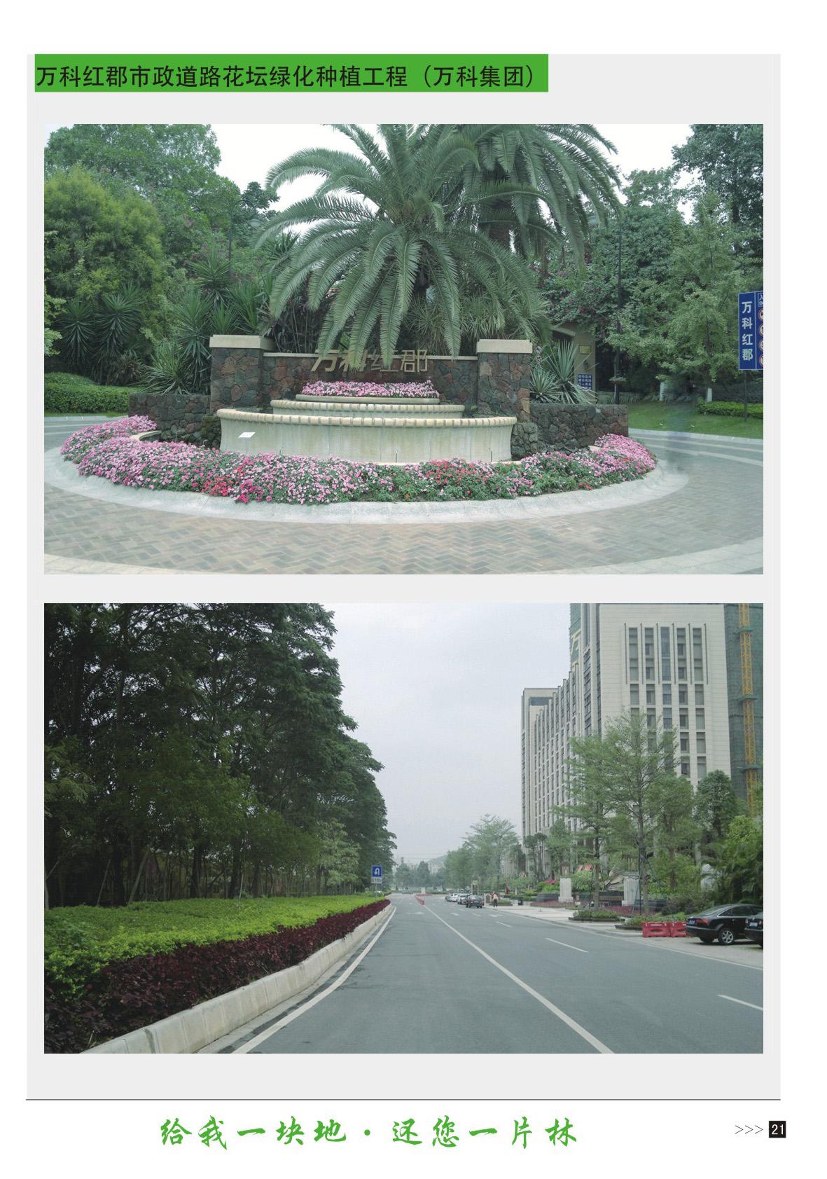 万科红郡市政道路花坛绿化种植工程