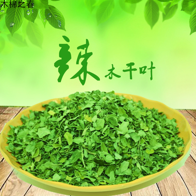 木棉之春辣木干叶 辣木批发 养生健康品 可泡茶做菜 降三高营养品 酒店火锅汤料/辣木火锅食材汤底/健康养生火锅料/