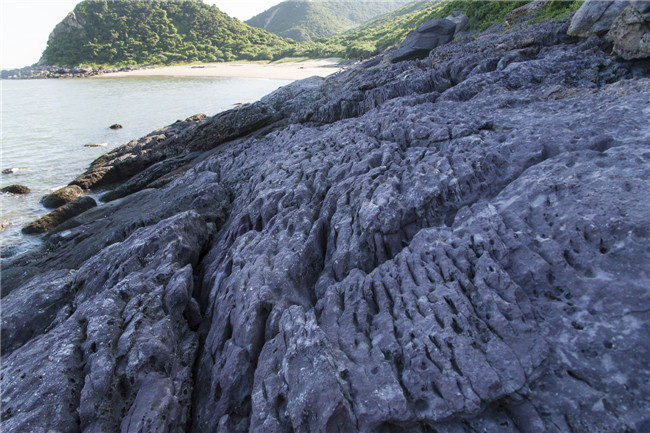 大杧岛联系方式|大杧岛旅游度假区