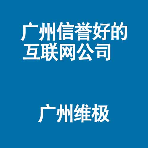 广州互联网公司哪家信誉好_维极