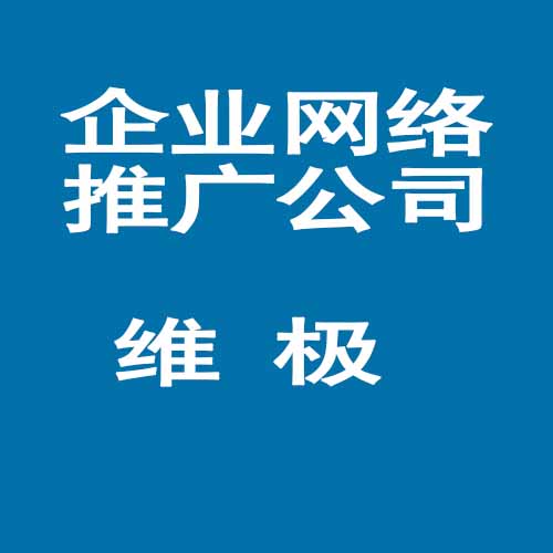 广州信誉好的互联网公司/维极