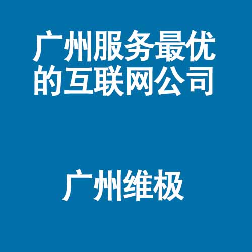 互联网公司服务好的公司 / 维极科技