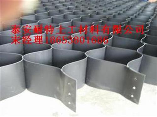国家标准土工格室/耐特土工