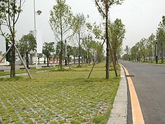 兰州草坪砖定制——草坪砖什么样的好