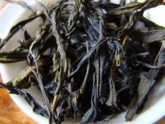 广东凤凰单丛茶_精装老仙翁单丛茶【推荐】
