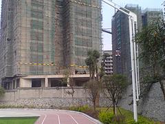 供应南宁地区有品质的广西路灯杆|贵港路灯杆