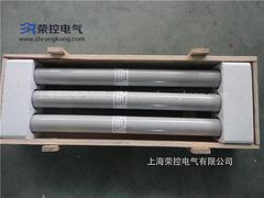 有品质的高压熔断器品牌推荐     重庆RN2-35/0.5