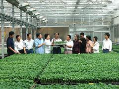 济宁蔬菜种植技术员专业培训 三元朱农业科技_专业蔬菜种植技术员专业培训公司
