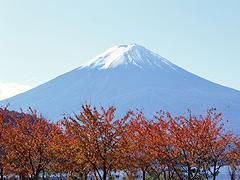 咸阳境外旅游，西安服务{yl}的日本秋之赏枫【荐】