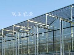 连栋生态餐厅建设专业公司——搭建连栋生态餐厅