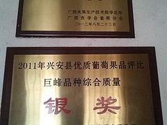 桂林规模大的葡萄专业合作社——广西葡萄专业合作社