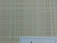 实木复合门套板材供应：[供应]德州划算的强化门套板材