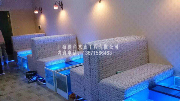 鱼疗鱼缸肇庆全国免费加盟