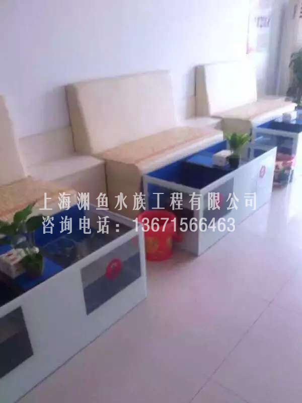 襄樊移动版亲亲鱼疗鱼疗店加盟