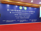 想要低价红心脐橙就来梦江南实业投资有限公司——富硒脐橙价位