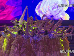 哪儿有提供可信赖的景区演艺_杭州景区演艺