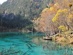 快乐神仙_服务好的铂金双卧六日游公司——九寨沟旅游信息