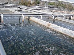 污水废气噪声处理实时资讯|性价比高的福州污水处理公司