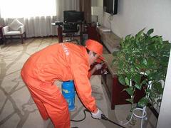 兰州好的灭鼠哪里找——金昌灭鼠