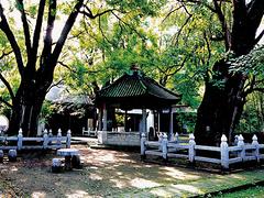 旅游景点在哪里_上哪找有品质的古城景点服务