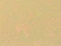 出售泉州新式的岗石，木玛丽板材生产