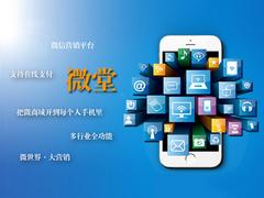 大连微营销怎样：辽宁大连微堂微信营销平台推荐