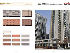 质量可靠的通体砖火热供应中——莆田外墙砖