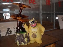 具有价值的灵芝盆景市场价格情况——灵芝盆景报价