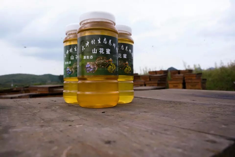 贵州蜂蜜品牌好——去哪找声誉好的山花蜜经销商