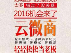 同安思埠跨境|品牌好的黛莱美面膜低价出售