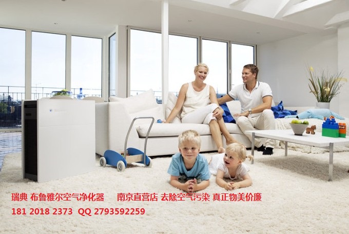 布鲁雅尔空气净化器江苏售后服务中心晋州