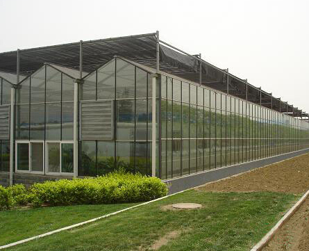 【WOW!】生态餐厅工程造价【生态餐厅工程承建】（来）-旭鑫