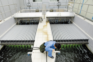 甲乙级资质 矿山开发 水土保持 水保方案编制