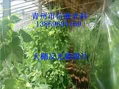 潍坊市反光膜的使用方法 品种齐全的大棚增温反光膜在哪里有供应