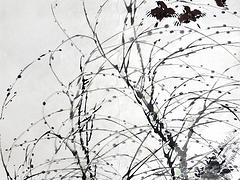 潍坊书画观赏，上等潍坊青州书画山香堂画廊供应