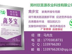 专业的养鸡专用益生菌——具有口碑的发酵酒糟喂鸡市场价格情况