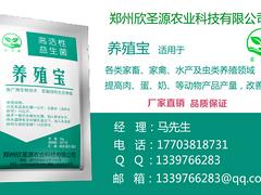 河南优质欣圣源养殖宝批发：澳门养殖专用益生菌