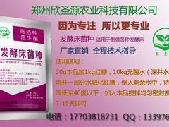 南阳口碑好的养猪仔专用发酵床供应商推荐_专业的发酵床菌种