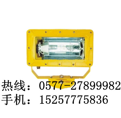 海洋王BFC8100外场防爆泛光灯价格、现货