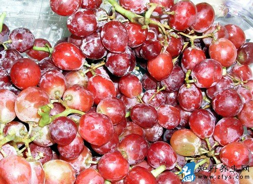 提供上海冷链物流公司 腾速 冷链物流 低温运输