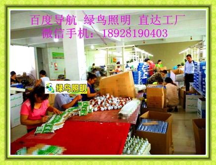 绿鸟|瑞士伯尔尼应急球泡灯、36V、127节能灯