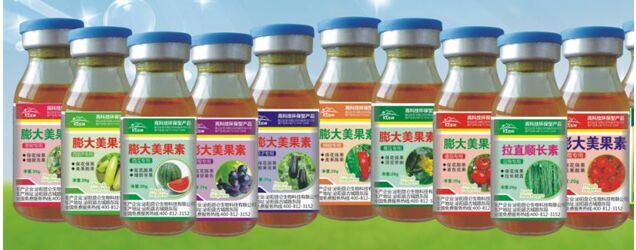 葡萄专用膨大美果素 昆仑生物厂家供应 大棚蔬菜专用