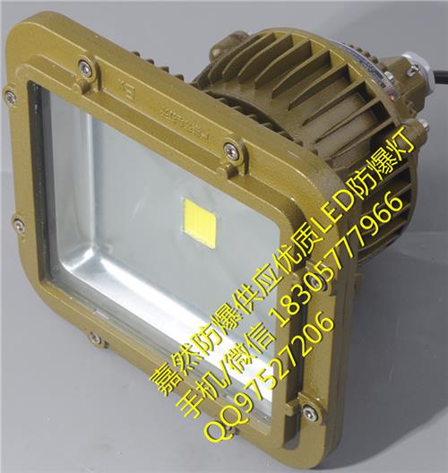 CCd97-T70wled防爆投光灯,60wled防爆泛光灯