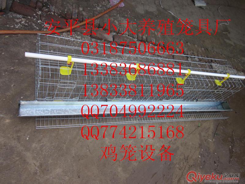 供應蛋雞籠，雛雞籠，肉雞籠，雞籠架子，雞用飲水器