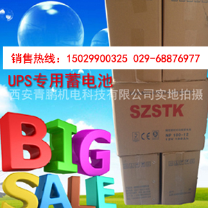 咸陽(yáng)市UPS電源高頻在線式單進(jìn)單出6-10KVA,咸陽(yáng)市UPS電源6-10KVA