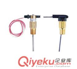V10系列Flotect小型靶式流量開關