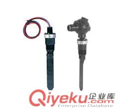 V10系列Flotect小型靶式流量開關