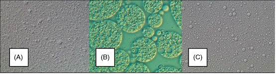 DMEM培養基質量上乘 價格公道推薦中牧生物科技