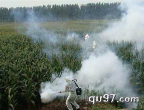  城市消毒機 {gx}消毒機 工業大廈消毒機 地下管道消毒機打藥機