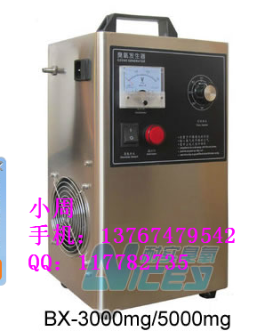 耐實(shí)BX-5000mg空氣凈化除臭臭氧發(fā)生器 家用臭氧機(jī)